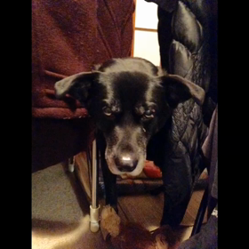 おやすみなさいの画像