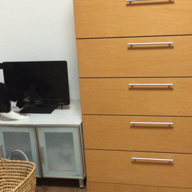 何かを発見し飛び回るニコの画像