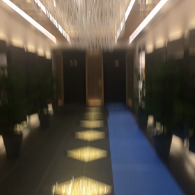 キラキラの画像