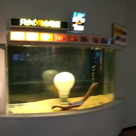 2021/04/15　サンピアザの画像