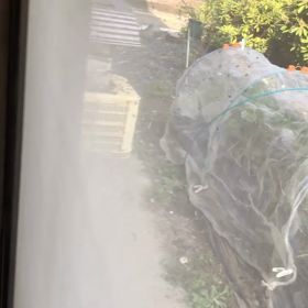 見てー！の画像