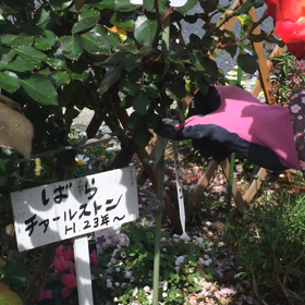 こちらこそ。の画像