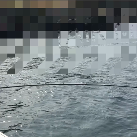 ボートロックポコポコ釣れた思い出動画！の画像