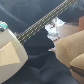 1,760　椰子の実を太棹三味線で・・の画像