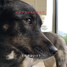 やっと携帯から出来ました！の画像