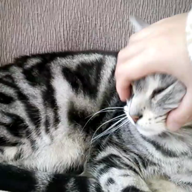 今日のラッキーポイントの画像