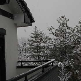 ★しんしんと・・★の画像