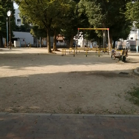 ８月１日(日曜日)麻雀の日の画像