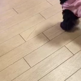 今日のベルモカ♥︎の画像