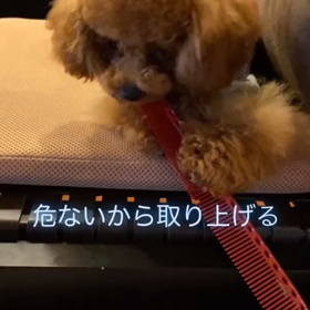 宇野樹君インスタストーリーより　獲物取れたけど、、の画像