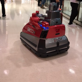 成田空港の警備の画像