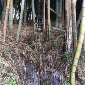 ２９１＄の巻の画像