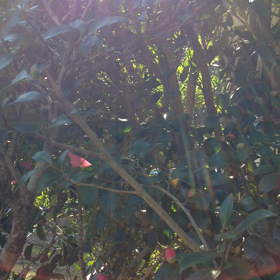 あっという間にの画像