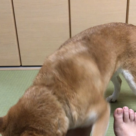 読書の週末の画像