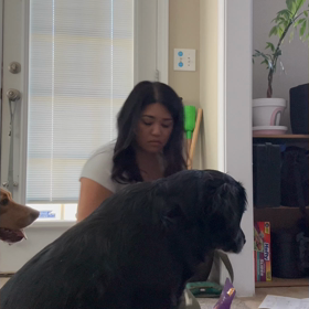 わんこの服作りの画像