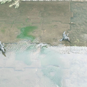 検査結果　よかったの画像