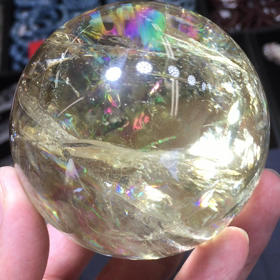 福岡ショー最終日の画像