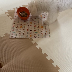 もかちゃん♫ちろるちゃん♬めろちゃん♪ウマウマ便です～✨✨.。o○の画像