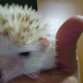 ＃超、、、②＃の画像