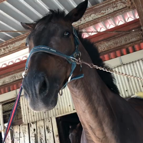 気持ちいい〜の画像