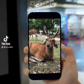 えりちのおさんぽ　958の画像