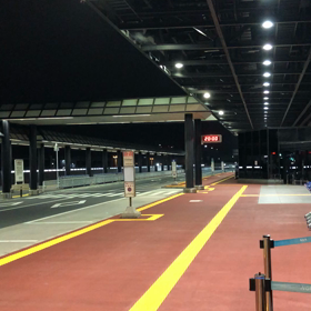 Pの画像