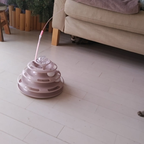 猫おもちゃの画像