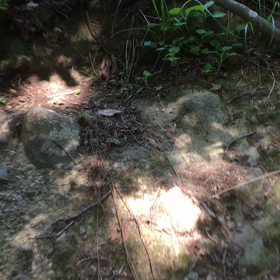 おじいちゃんの画像