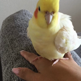 あんよ♡が可愛い‼︎の画像