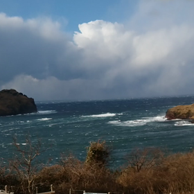今日は冷凍庫の画像