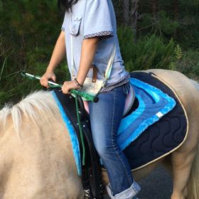 ９月の予定ですの画像