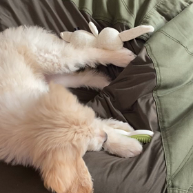 もういっこ！の画像