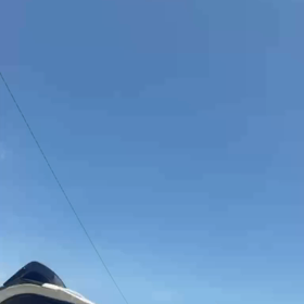 今日は自由に釣りの画像