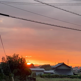 朝です！の画像