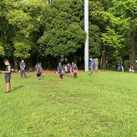 ダッシュ(ピンクチーム)④の画像