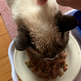 やった^_^の画像