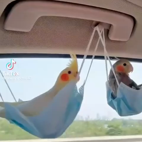 エリザベスさん 第７弾 マスクの気持ちの画像