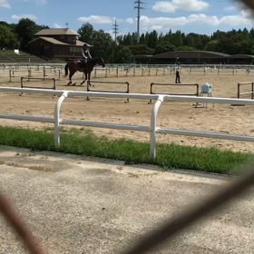 8月30日、初落馬㊗️ですが、何か？の画像