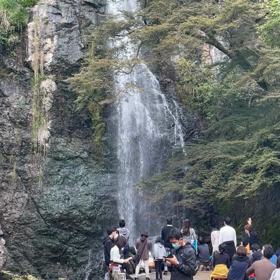 今日の滝の画像