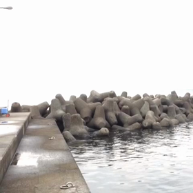 メバリングの画像