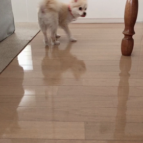 最近の。の画像