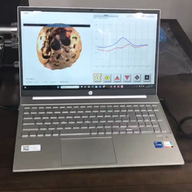 わんこも人も体験の画像