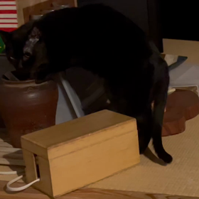 趣味　ゴミ箱あさりの画像