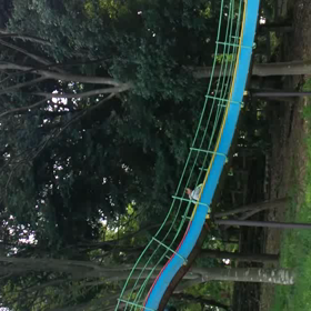 みんみんとローラー滑り台の画像