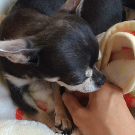 舐めるのも好き〜❤️の画像