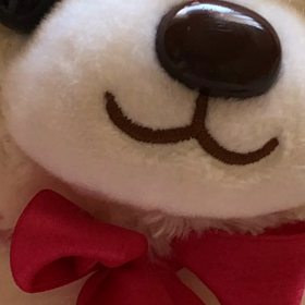 8月24日の気になる、きになるぅ〜の画像