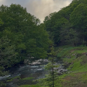 森林浴♪の画像