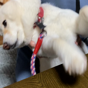 戦争反対コールの画像