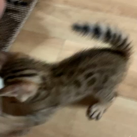 生後1ヶ月なのにの画像