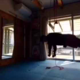 センソリーモータートレーニング(神経筋制御)の画像